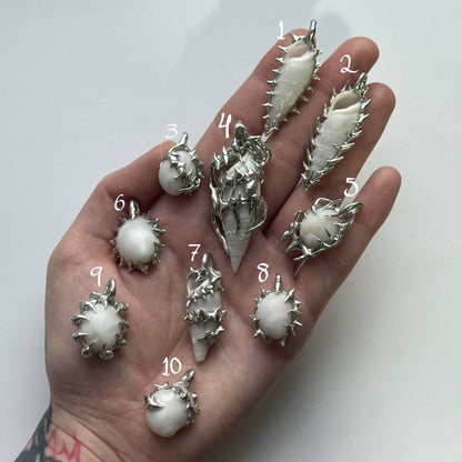shell pendants