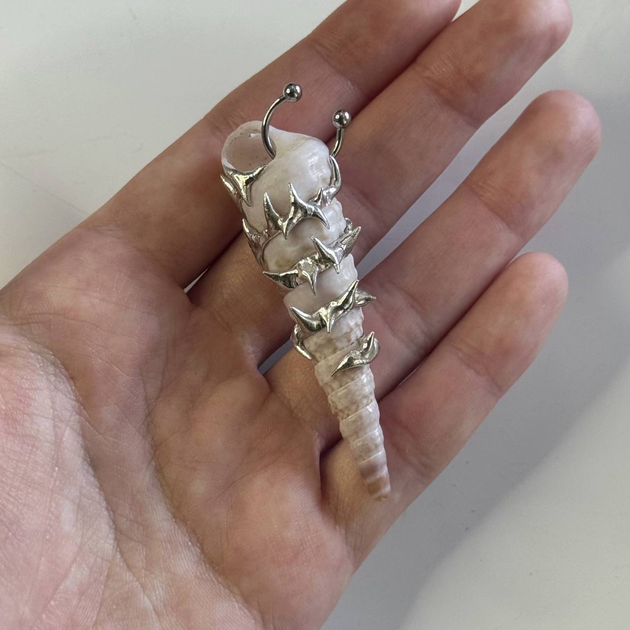 seashell pendant